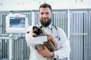 Price Telecommunications Restores Roswell Veterinary Associates After Devastating Lightning Strike