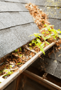 Bailey Boys Services Emphasizes Seasonal Gutter Cleaning to Protect Sacramento Area Homes